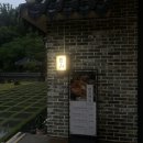 ㈜따신밥한그릇 | 대구 북구 서변동 맛집 &lt;거산 이가네더덕밥&gt; 연경 단체모임, 대구 더덕 약선요리, 팔공산 한정식 맛집