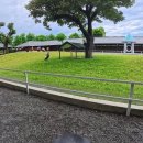 원구농장 | 대만 타이베이 여행 이란 장메이 아마 농장 카피바라 야시장