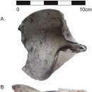 D00368 | 바닷물 끌어들여 설탕 정제 이용한 맘루크 시대 지하터널 발견