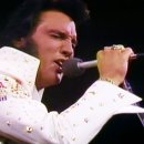 Elvis Presley - Burning Love (Aloha From Hawaii, Live in Honolulu, 1973) 이미지