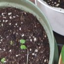 광주탑정형외과 이미지