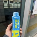 YTN | 2025 YTN서울투어마라톤 10K 후기