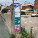 동막골민물장어 이미지