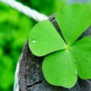 대통령주유소 이미지