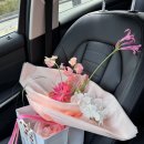 UR(의정부시)-[평화로]-하-39 | 4월이라 쓰고 3월이 섞여있는 일상 (꽃앓이, 용산 아이맥스 꿀팁, 압구정 템퍼, 목탄장, 고도식, OOTD)