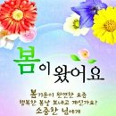 여여 Daum카페