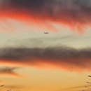 선재 바다펜션 | 대부도 선재도 애견동반 펜션 스파와 수영장 루나비치 선재 호텔 &amp;펜션