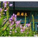 팔공산올레길 8코스 이미지