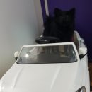 조이풀데이 광명역점 이미지