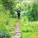 산청동물의료센터 이미지