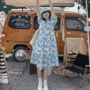 벌룬플라워 이미지