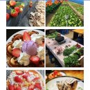 냉산친환경체험농장