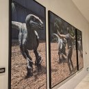 Golden Age | 12-01 더 유니버셜 스튜디오 그랜드 호텔 미니언즈 룸 숙박 후기 (베이징 유니버셜 스튜디오 공식 호텔)