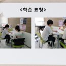 딥247 이미지