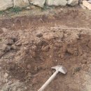 돌담하우스(민박) 이미지