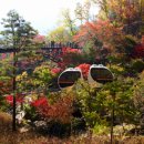 춘해보건대학교 이미지