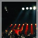 와이낫(YNOT) 이미지