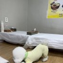 대박집 | 강원도 정선 아리랑 5일장 시장 애견동반 맛집 추천 대박집 내돈내산 후기