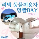 멍빨DAY 이미지
