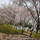 공간꽃방