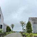 어림향 | [제주 애월카페] 카페 어림비 - 애월신상카페 (제주 자연뷰)