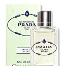 아이리스 | 겨울 향수 추천 포근한 프라다 인퓨전 디 아이리스 후기