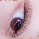 삼보당약국 이미지