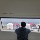 구룡포 유니의 바다 티스토리