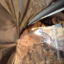 서부로 | 영월 맛집 서부순대집 위치 주차 내부 메뉴 포장 모듬순대 후기