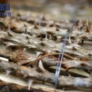 이재욱한의원 이미지