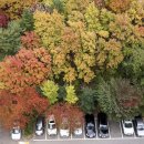 주정차단속-30 이미지