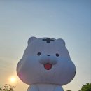 이브아이 이미지