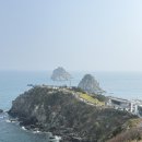 오륙도 스카이워크 | 부산 봄꽃 수선화 명소 추천 , 오륙도 해맞이공원 스카이워크 방문 후기