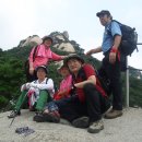 저산목장 Daum카페