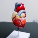 삼송경희한의원 이미지