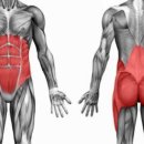 비타민헬스휘트니스 이미지