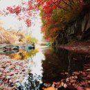 소호민박 이미지