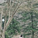 구암사 | 우연히 만난 뜻밖의 선물, 순창 구암사