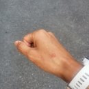 서초3동 주민센터 이미지