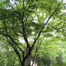 목동동로2길 이미지