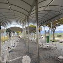 가곡체육공원 이미지