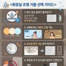 정우전기조명 | 화장실 조명 거울 하나로 공사없이 인스타 감성 욕실 인테리어 완성하기