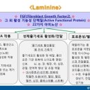 팜라이프 이미지