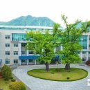 신년해맞이(취소) 이미지