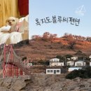 욕지블루 | 욕지도펜션 추천｜욕지도오션뷰펜션 애견동반으로 다녀 온 욕지도가족펜션 후기