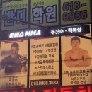 강남합기도킥복싱 | 압구정주짓수 압구정mma체육관 하바스mma 주짓수&amp;킥복싱