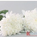 [부고] 광주광역시 (전) 남구의회 강원호 의장 부친상 이미지