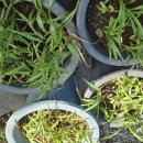 길상초등학교 이미지