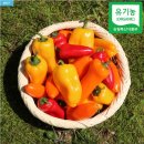 주황농장 이미지