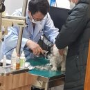 동부 동물병원 이미지